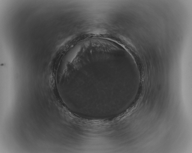 X0000113061398200908281125