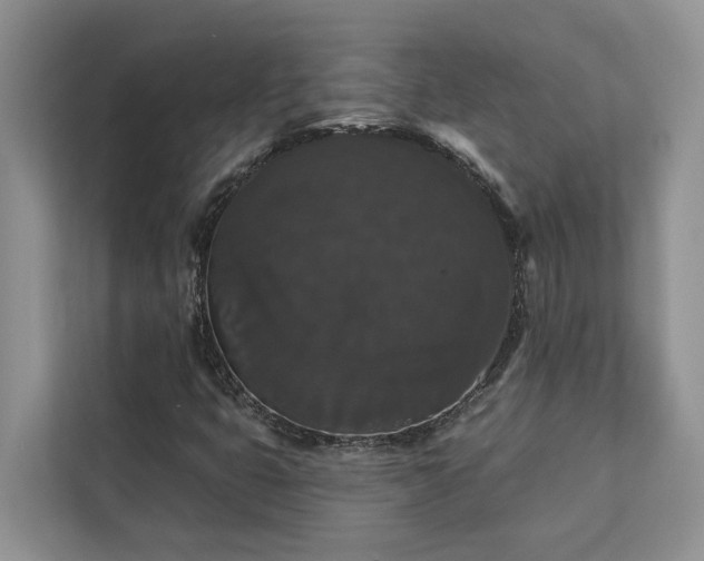 X0000113061399200908281125