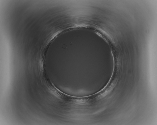 X0000113061401200908281125