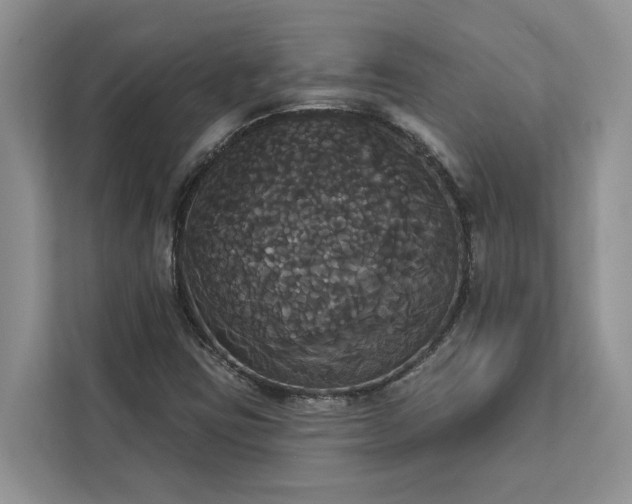 X0000113061403200908281125