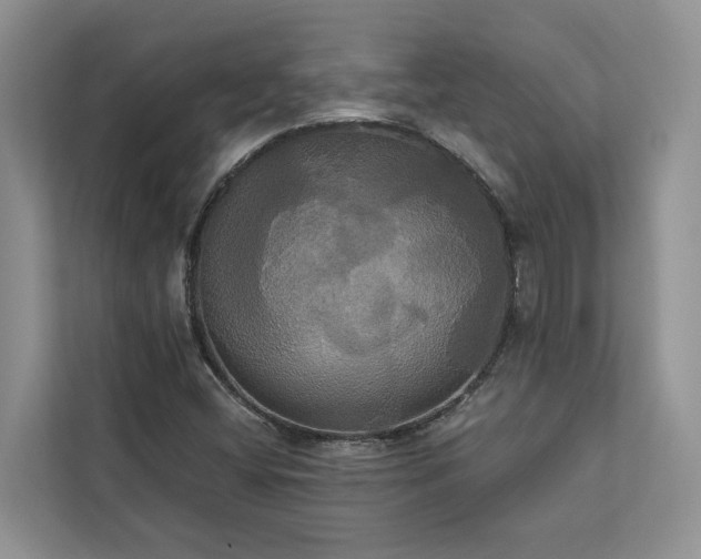X0000113061404200908281125