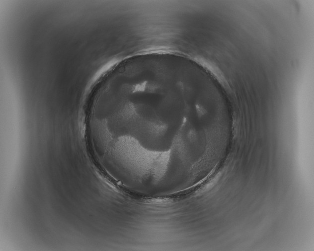 X0000113061406200908281125