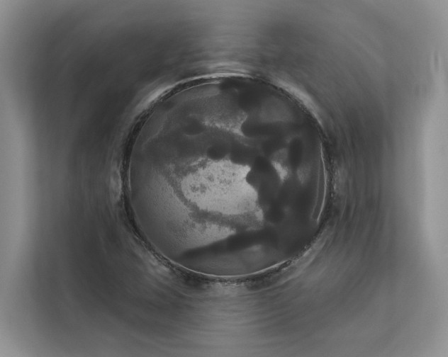 X0000113061407200908281125