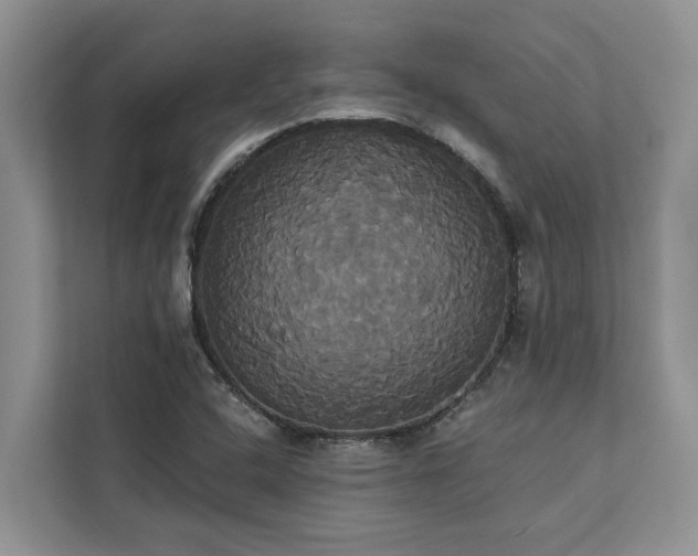 X0000113061408200908281125