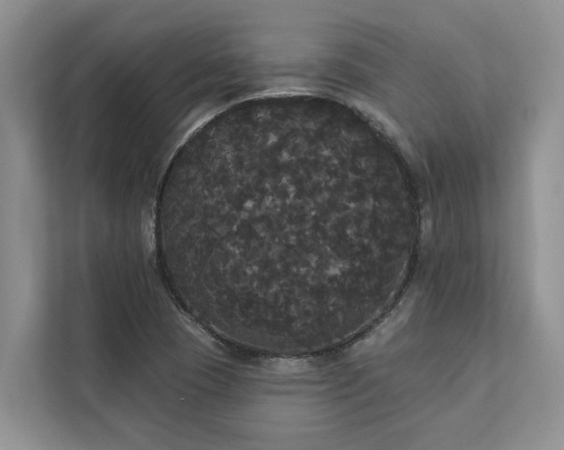 X0000113061409200908281125