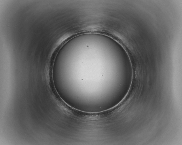 X0000113061410200908281125