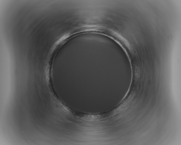 X0000113061411200908281125