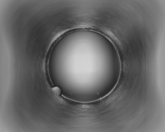 X0000113061412200908281125