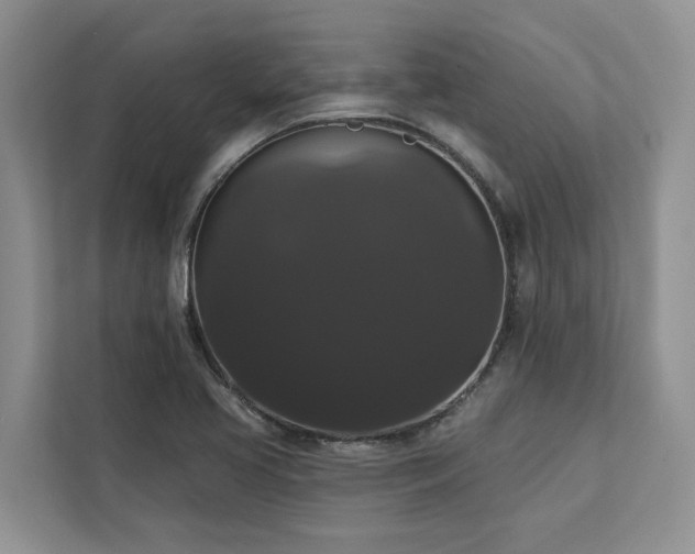 X0000113061413200908281125