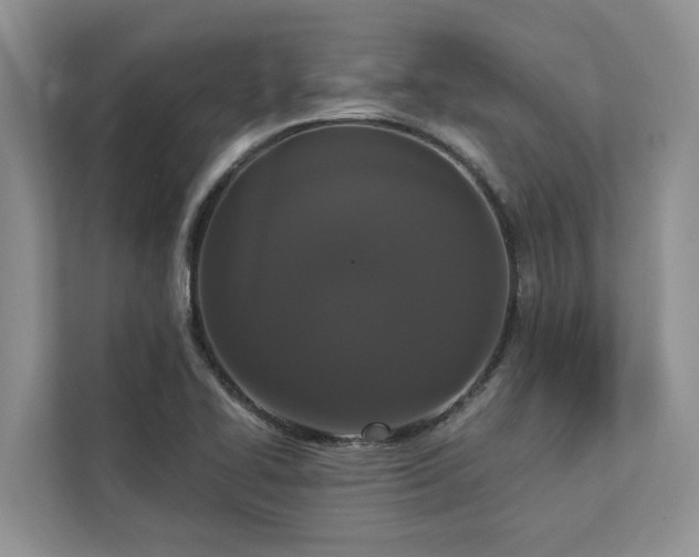 X0000113061414200908281125