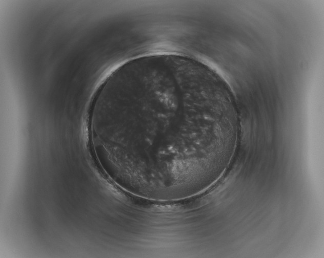X0000113061415200908281125