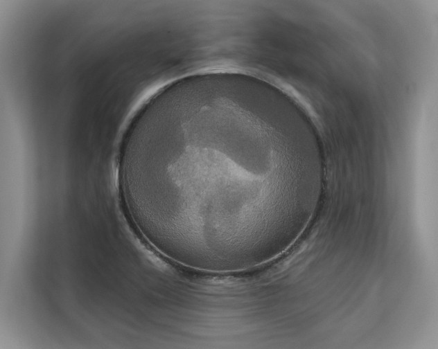X0000113061416200908281125