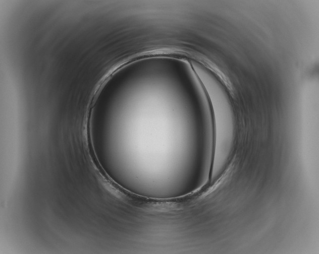 X0000113061417200908281125