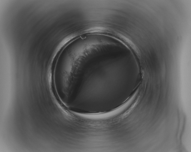 X0000113061418200908281125
