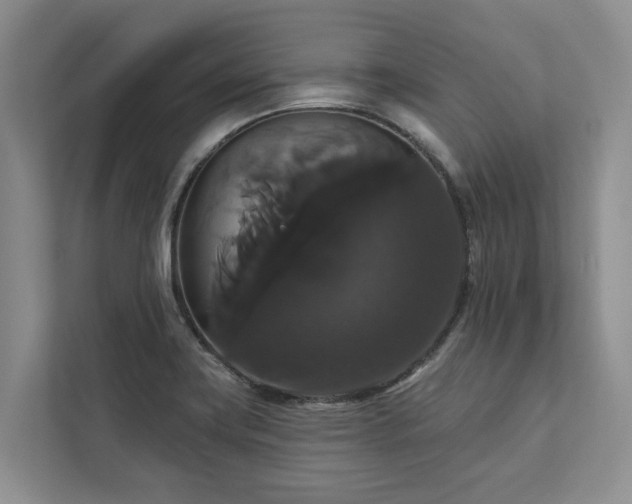 X0000113061419200908281125