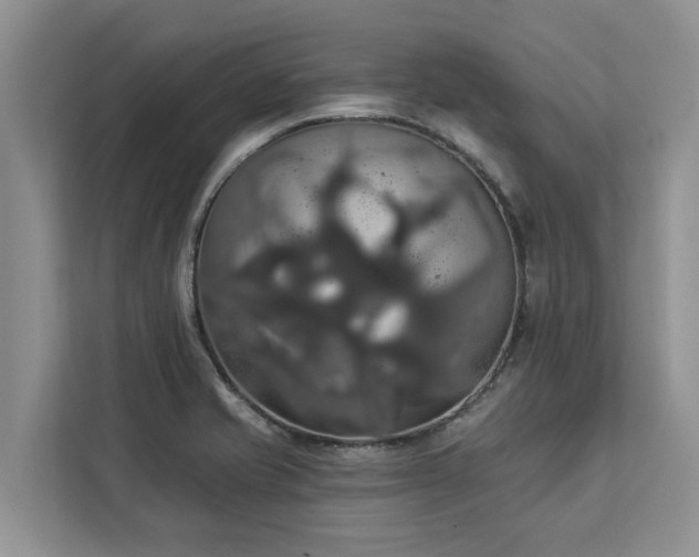 X0000113061421200908281125