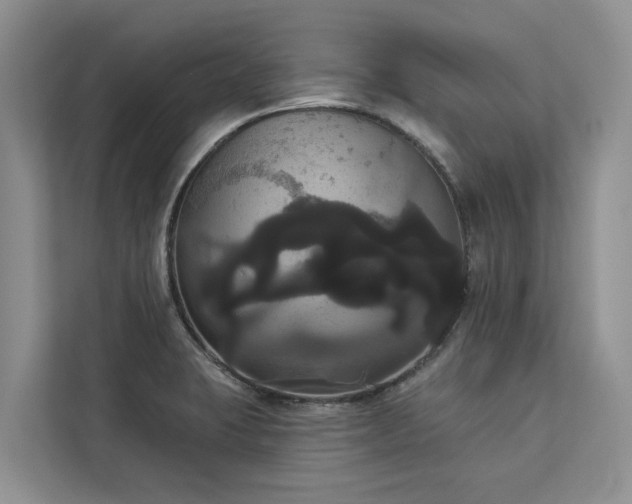 X0000113061423200908281125