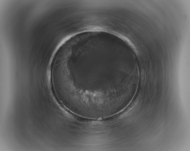 X0000113061424200908281125