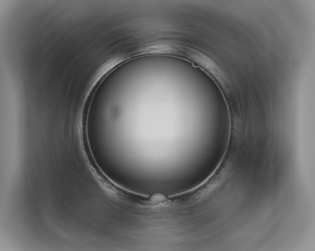 X0000113061426200908281125