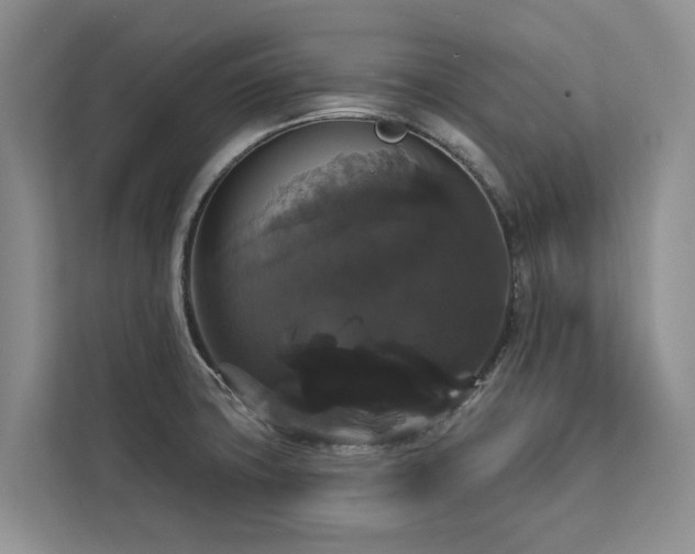 X0000113061427200908281125