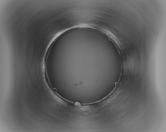X0000113061428200908281125