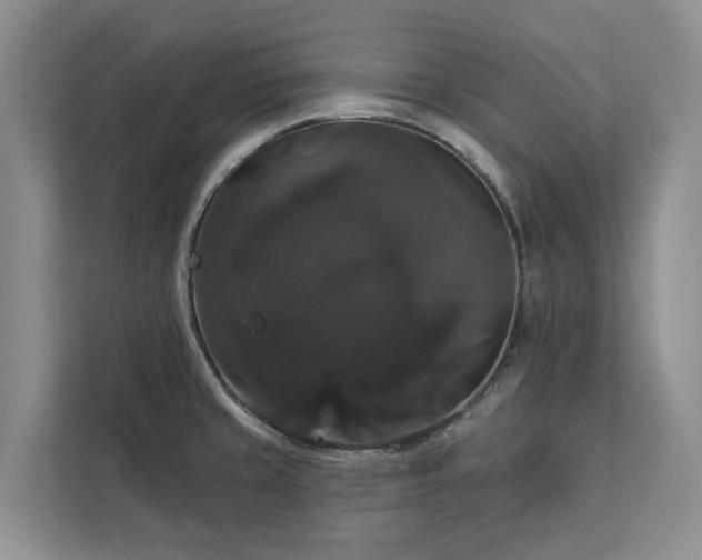 X0000113061429200908281125