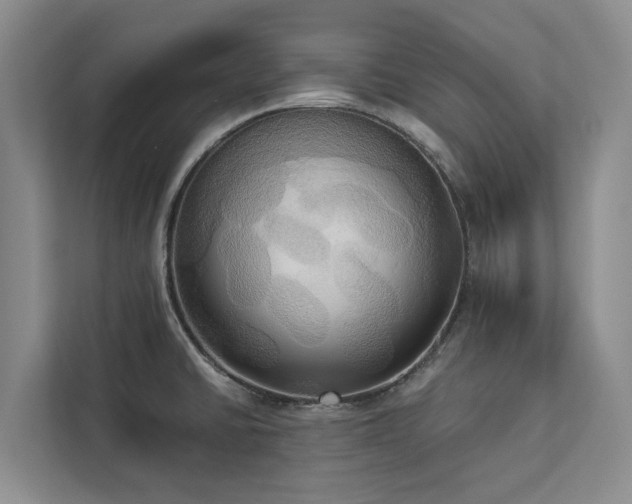 X0000113061430200908281125