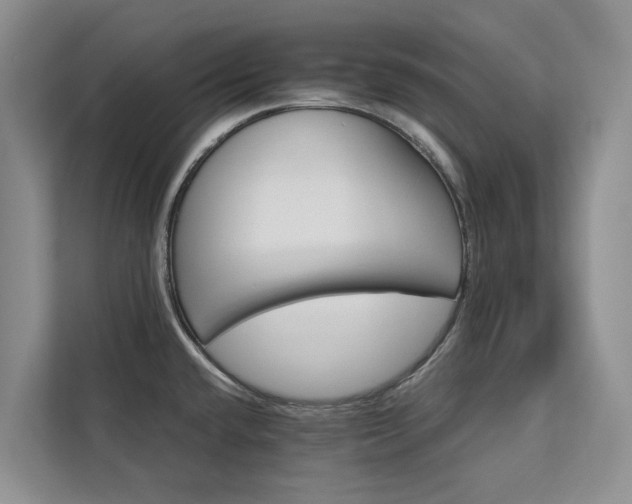 X0000113061432200908281125
