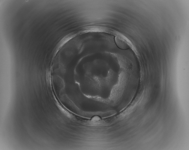 X0000113061433200908281125