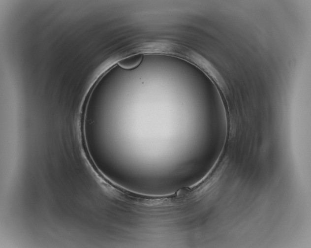 X0000113061434200908281125