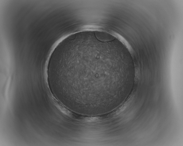 X0000113061435200908281125