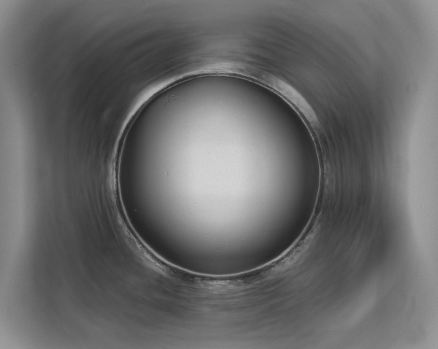 X0000113061436200908281125