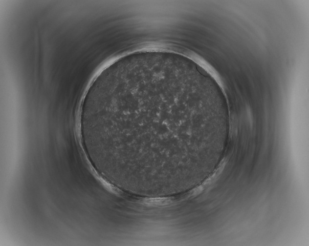 X0000113061437200908281125
