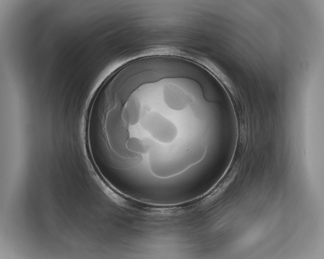X0000113061438200908281125