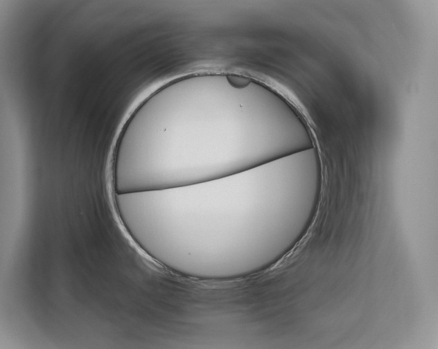 X0000113061440200908281125