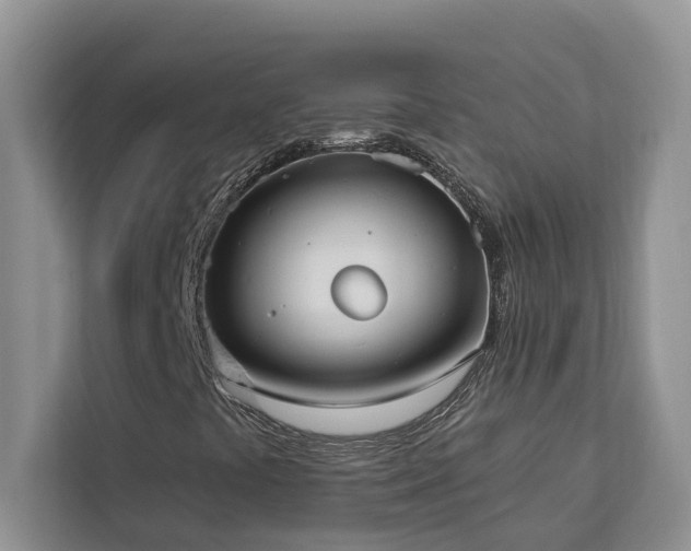 X0000113061441200908281124