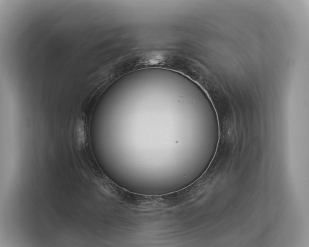 X0000113061442200908281124