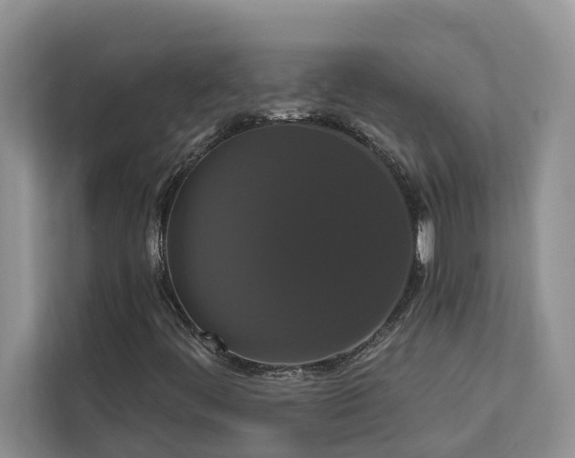 X0000113061444200908281124