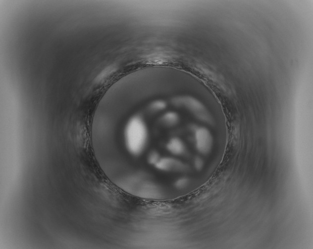 X0000113061446200908281124
