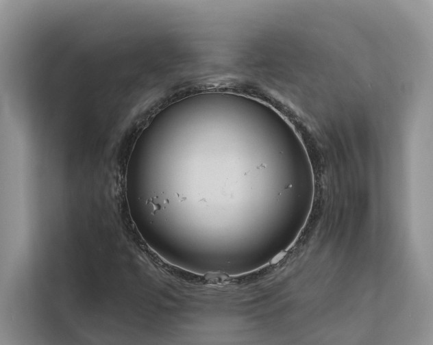 X0000113061447200908281124