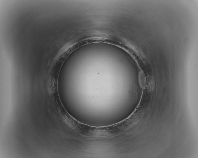 X0000113061448200908281124