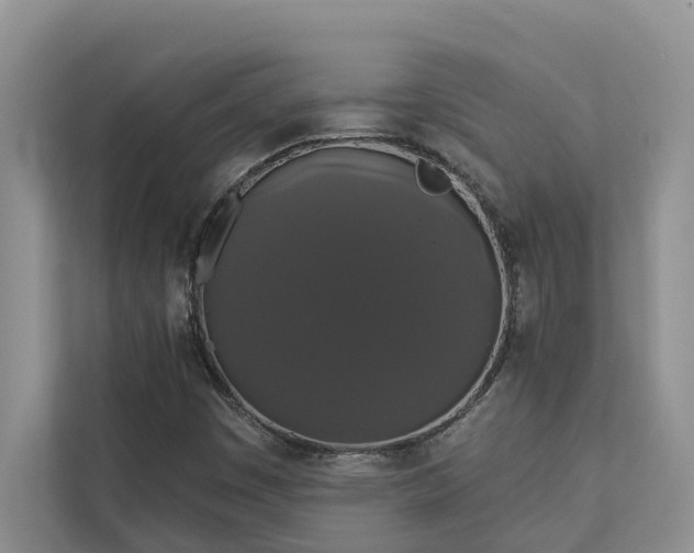 X0000113061449200908281124