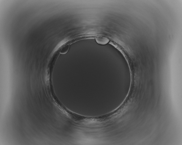 X0000113061450200908281124