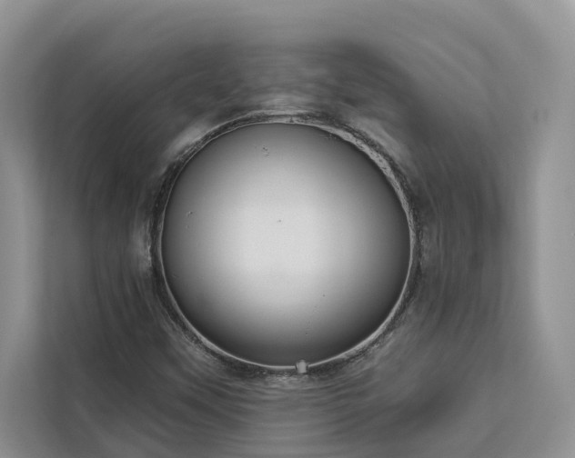 X0000113061451200908281124