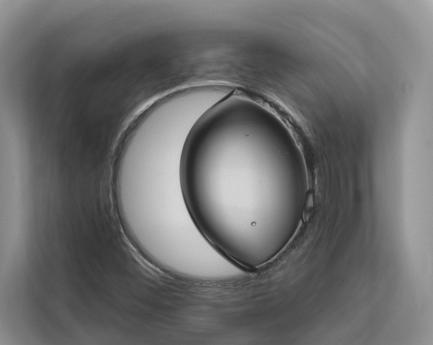 X0000113061452200908281124
