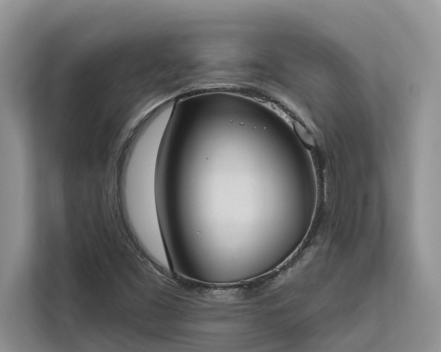 X0000113061453200908281124