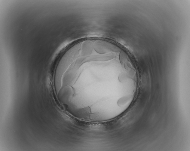 X0000113061454200908281124
