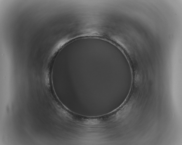 X0000113061455200908281124