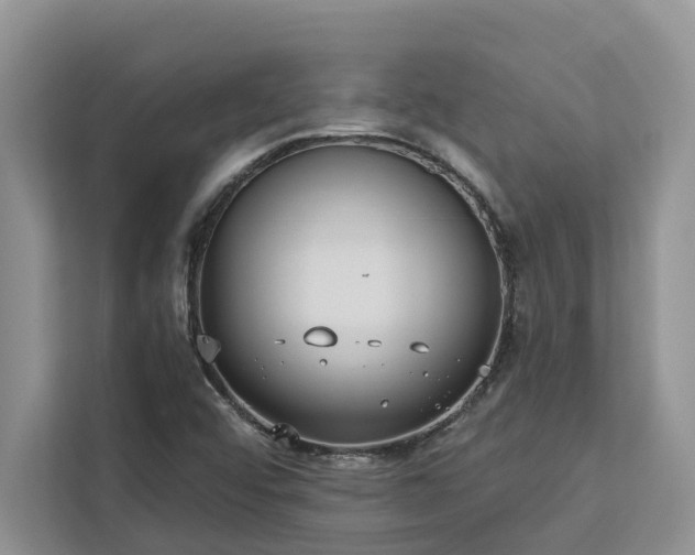 X0000113061456200908281124