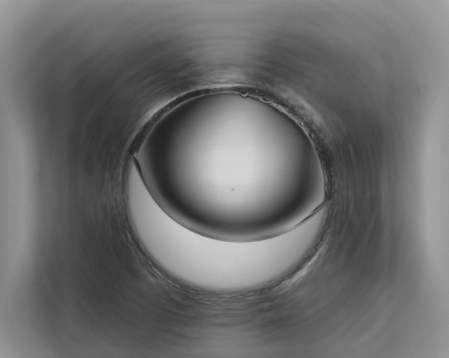 X0000113061457200908281124